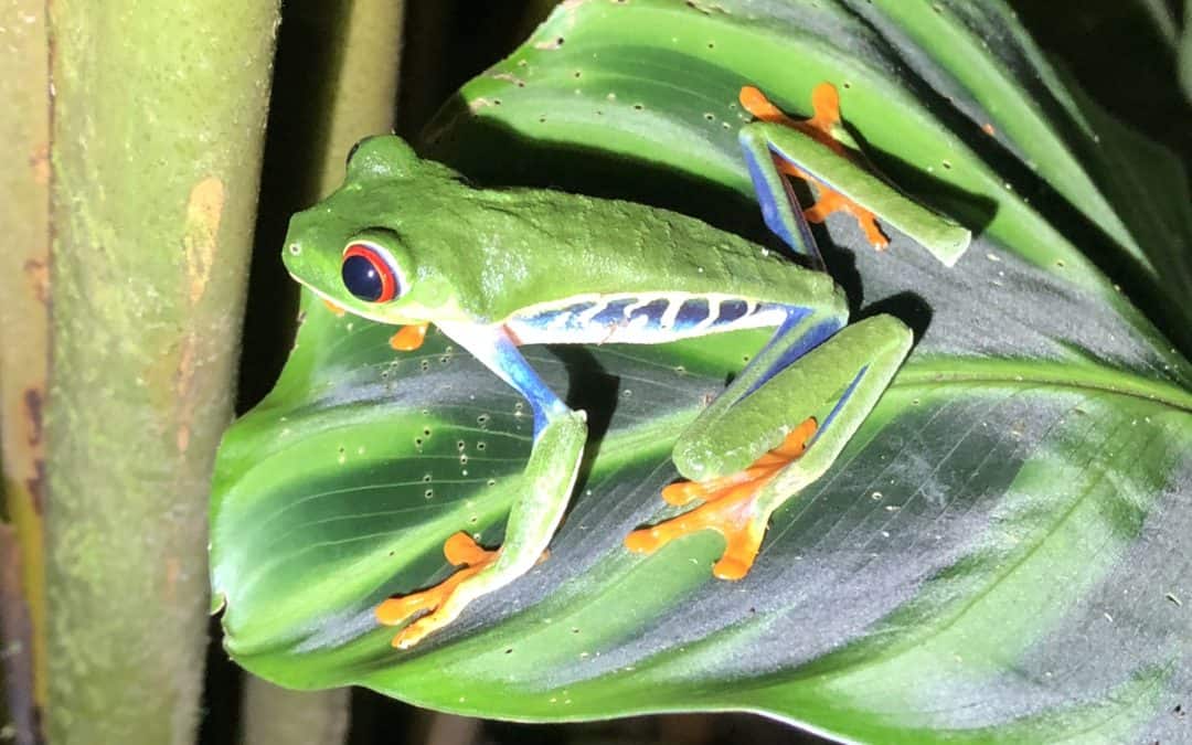 A Costa Rica Conversation
