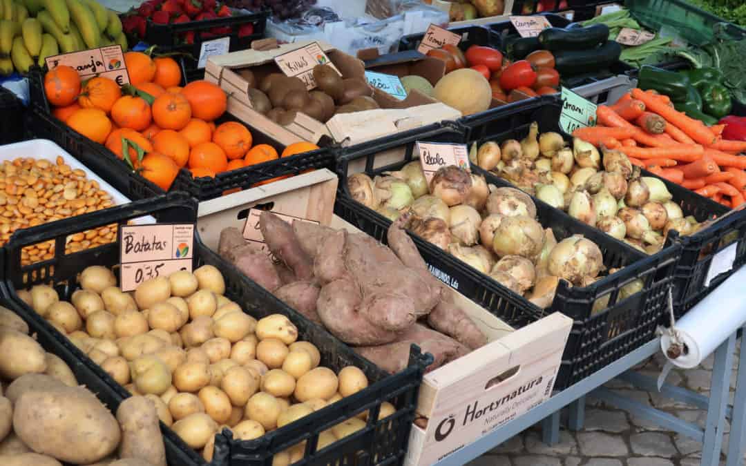 Food and Medicine – The Unthinkable Business Model