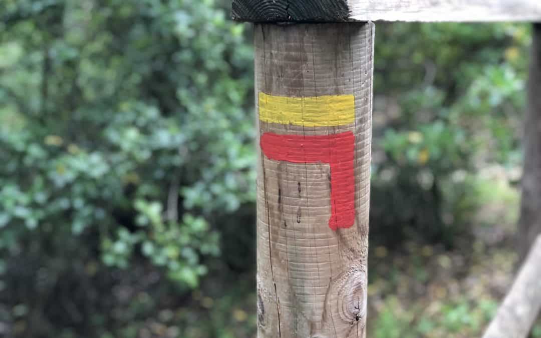 Doing the Camino Walk