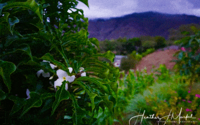 More Thoughts on Colombia – Yes!