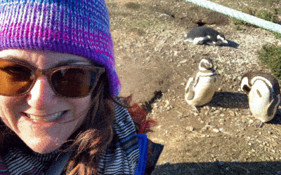 A Day With Penguins in Argentina