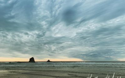 The Coronavirus Chronicles Episode 2 – From Christchurch to Dunedin New Zealand