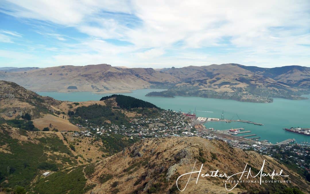 Back In Christchurch – Discover New Zealand