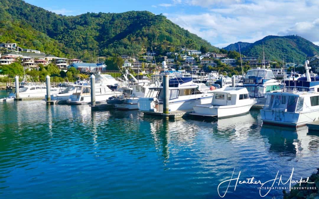 To Picton By Train – Discover New Zealand