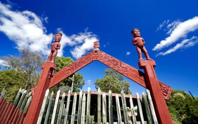 Lessons About the Maori People Of New Zealand