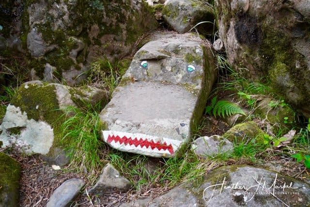 funny face in the rocks Wareire Boulders