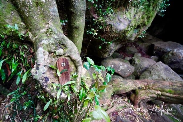 fairy door at Wareire Waterfall
