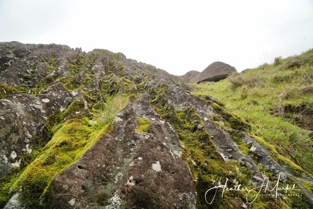 fluted rocks at Wareire Boulders