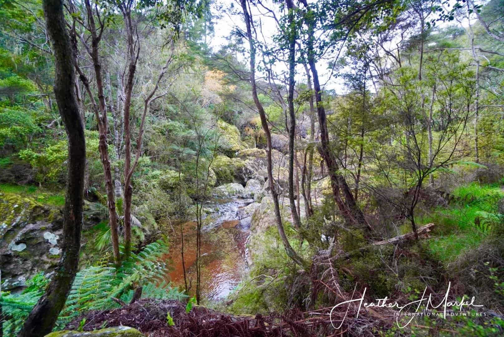 view at Wareire Boulders