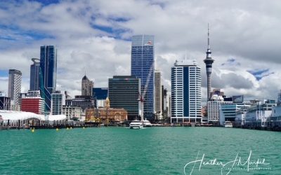 Auckland Activities To Plan Your Next Trip