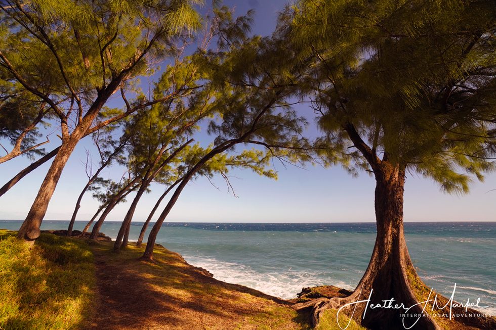 Reunion Island - Paradise In The Indian Ocean