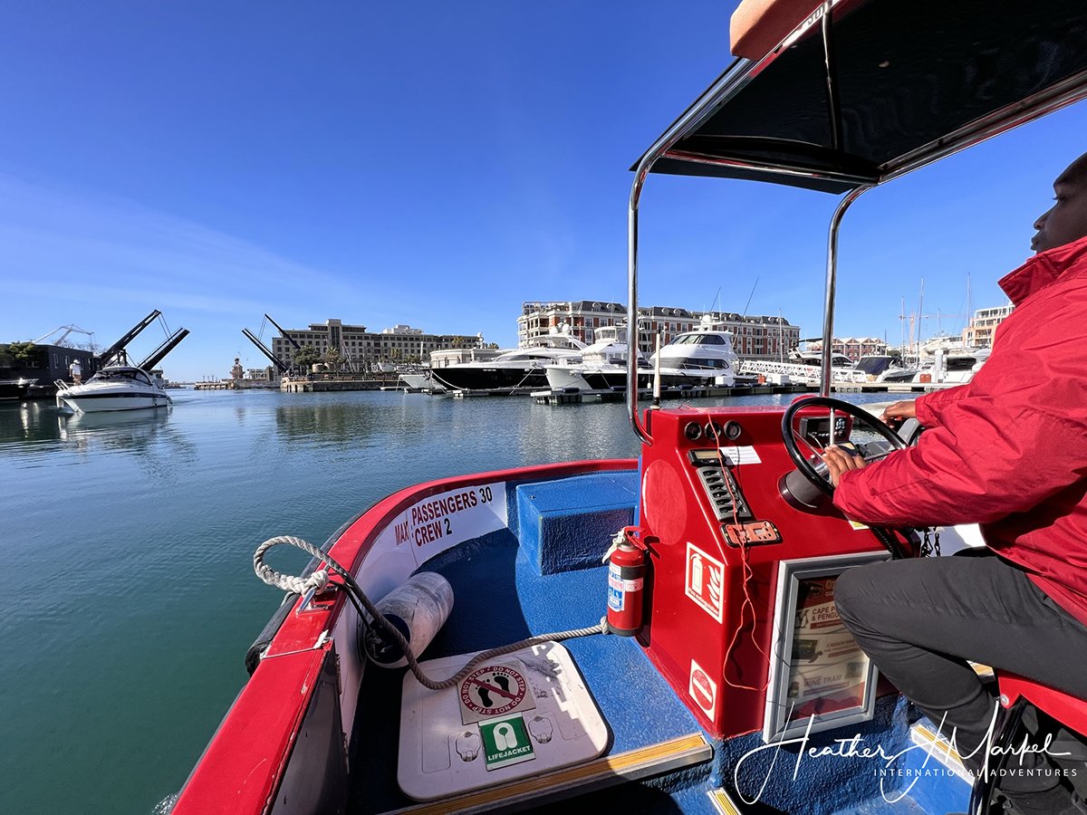 cape town canal cruise