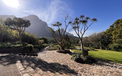 16 Great Activities To Do In Cape Town South Africa