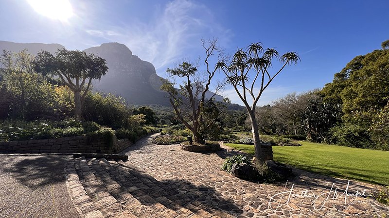 16 Great Activities To Do In Cape Town South Africa