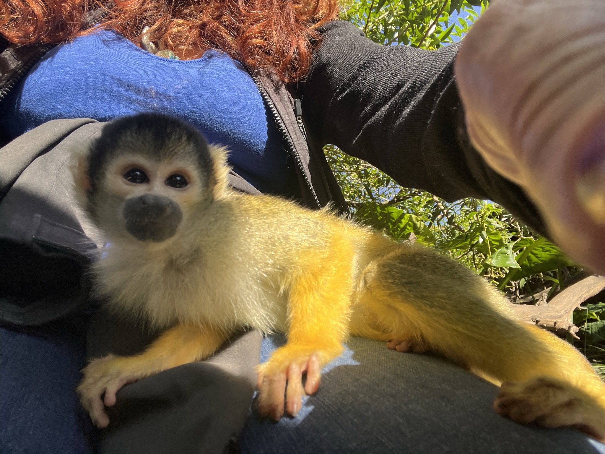 me with monkeys