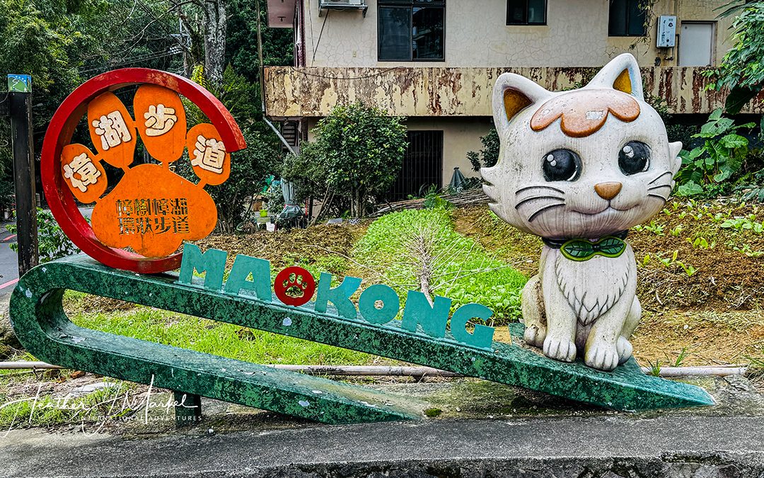 Things to Do in Maokong Taipei: Tea Houses, Hiking Trails & Gondola Tips