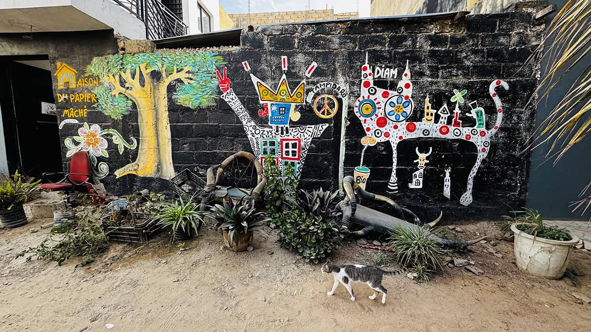 Oukam wandering with a cat in Dakar