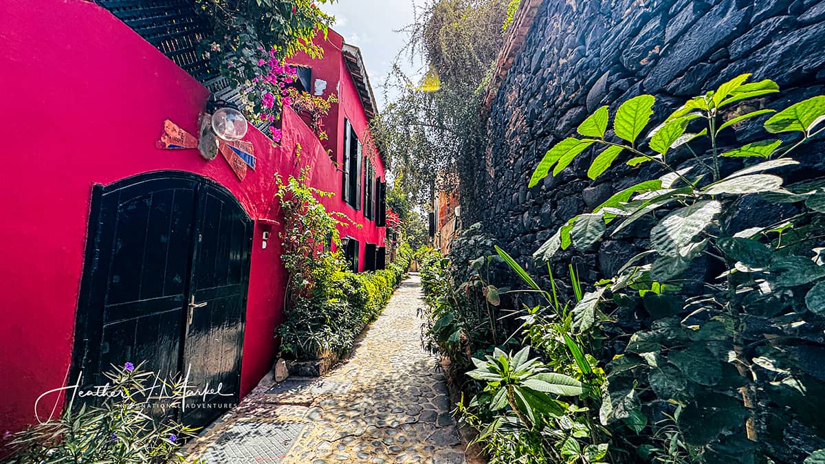beautiful streets on Goree Island