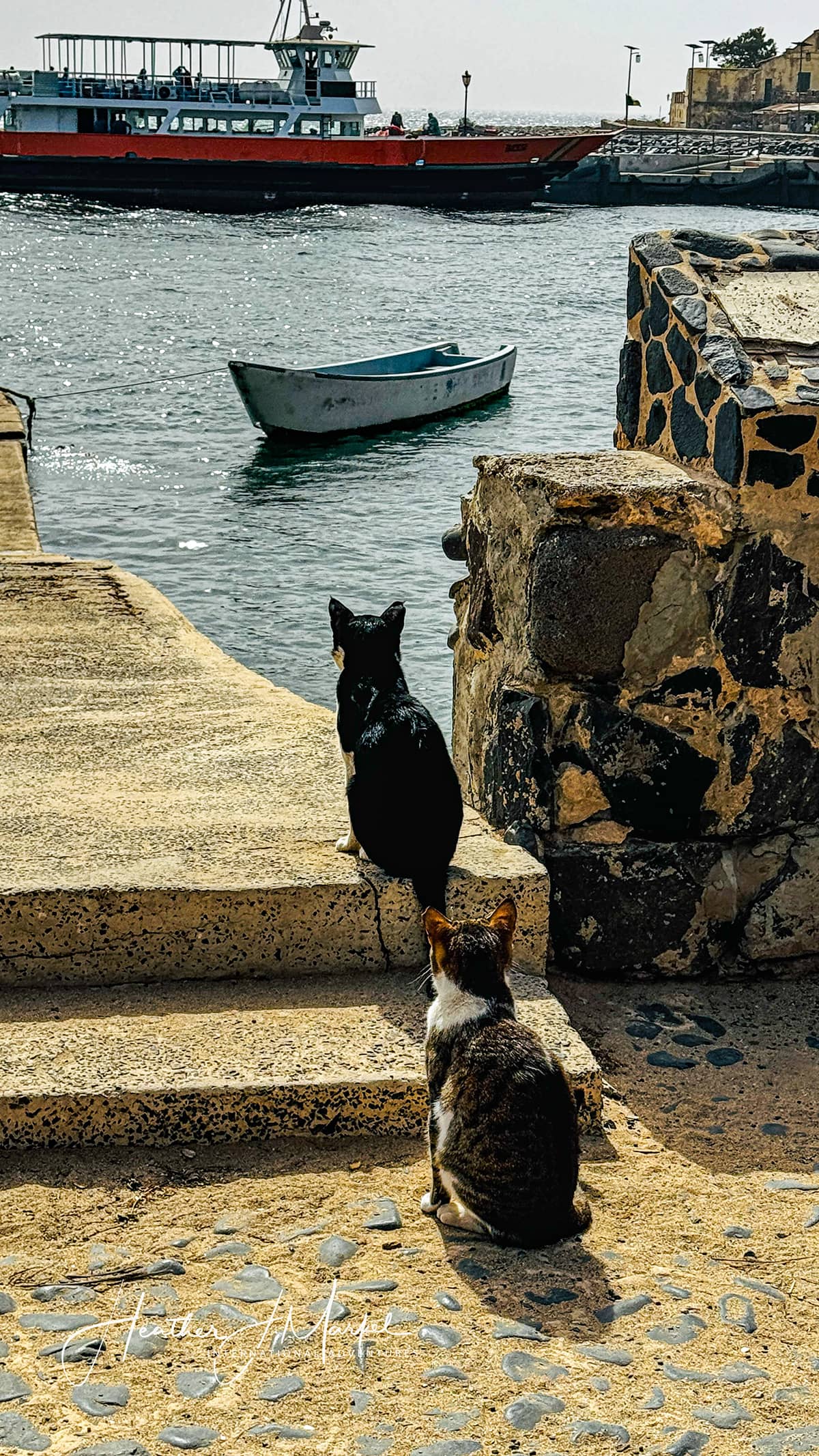 Arrival at Goree Island